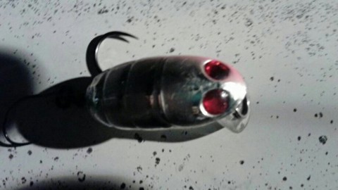 jjgtrkon7p9v83retk8b_920_518-bb829ed7.jpg
