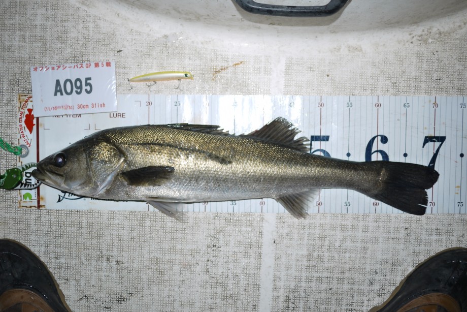 jjiuorrge9btcfr6b8g6_920_614-d24865dd.jpg