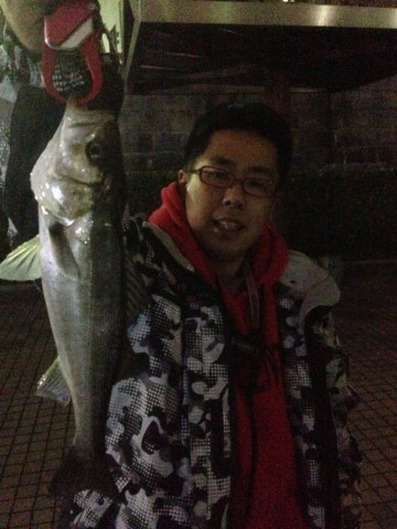jpexkrcjyc3jeoy6jnij_480_480-5579872f.jpg