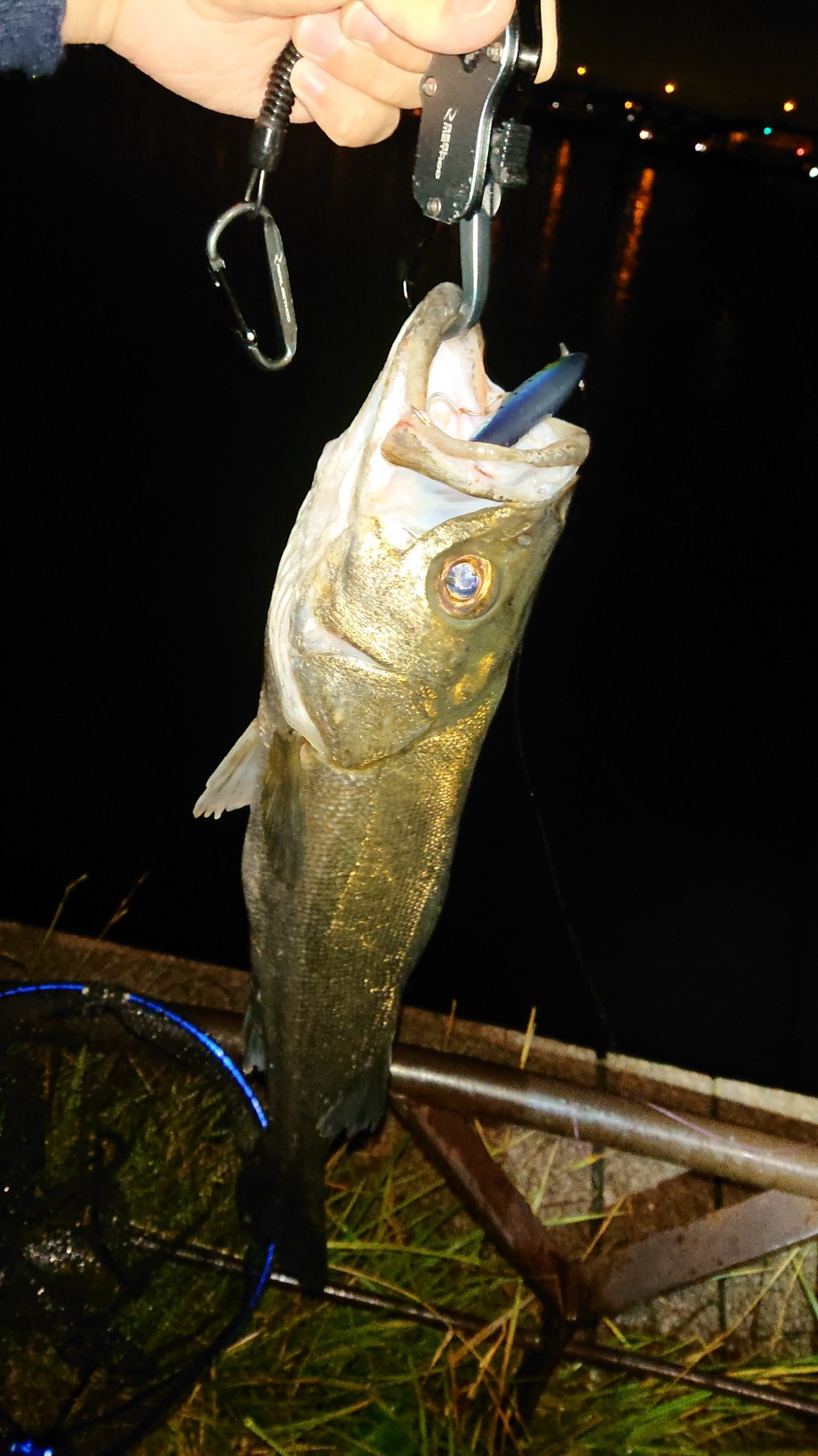 ブログ】 魚と俺とFishmanローワー8.6LとカルコンDC100と