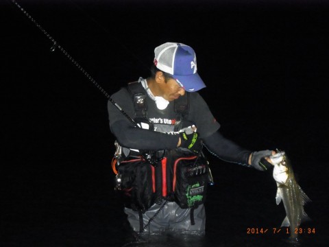 jv5bpxm9azmvt7opbigz_480_480-fd2ec3db.jpg