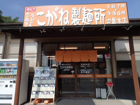jzr7so6746g7t8tzs3ct_480_480-1489f47e.jpg