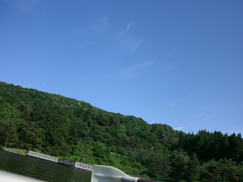 k3jdfsw2djws2zde5c68_480_480-abfa639f.jpg