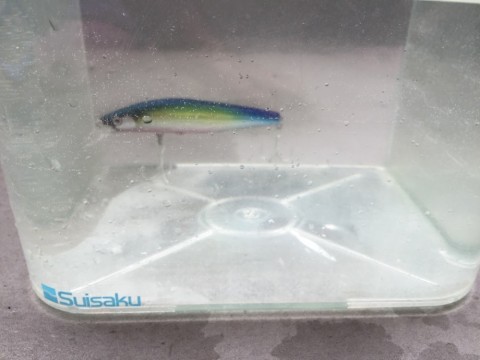 kgpv5gv23ffieadj7dho_480_360-0979c427.jpg