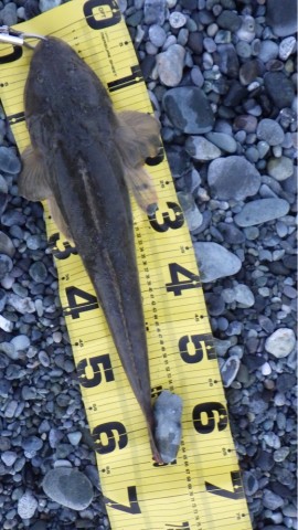 kh7ymxb8887sfpo5uxo3_518_920-39b14418.jpg