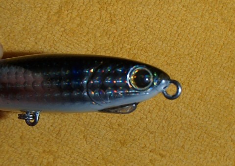 kjoicbewbi363iwa9egt_480_480-d18cf92e.jpg