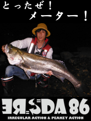 kkgvgzbd9bbtx8v8sva3_180_240-af4065dc.jpg