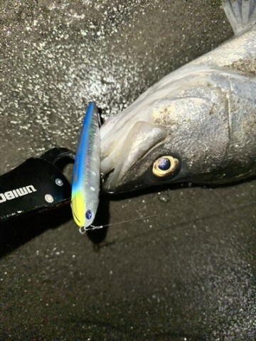 釣りフェスSNECON130S アウトスター120S GACHIPEN130