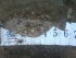 kr54xzjuig5czn4hkxm7_70_53-8c715cc3.jpg