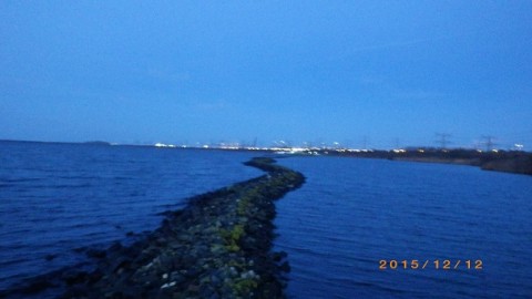 kwpogfk34i2apdz298w8_480_480-91dc1895.jpg