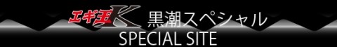 kyd6vvzu89h98rhr2bht_480_67-f1313aad.jpg