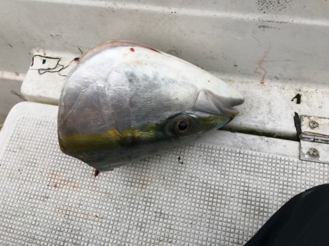 kyuerwer7vwrrhsfaf59_920_690-4088f899.jpg