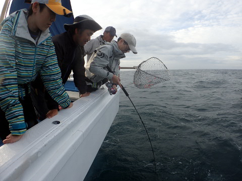 kz28nz83xw95m3yhmkwi-9067ebd2.jpg
