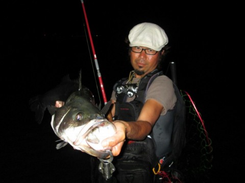 m8ffighse9dnudojp36x_920_690-b1d2f484.jpg