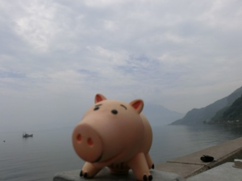 mfe6r4jscehvrweb55mv_480_360-e9904788.jpg
