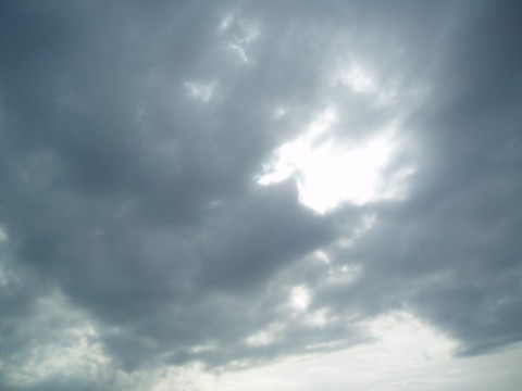 mhz7d2hx3gxckiu829pd_480_480-1143eacb.jpg