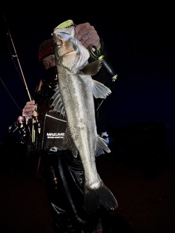 土佐銛　釣り　お値段交渉あり 土佐銛 釣り お値段交渉あり - メルカリ