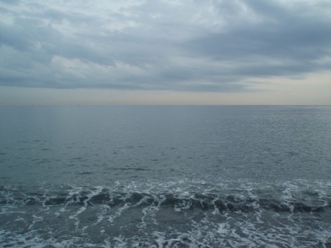 mxcdarpmj2z7ywhoy3jj_480_480-431f8b53.jpg