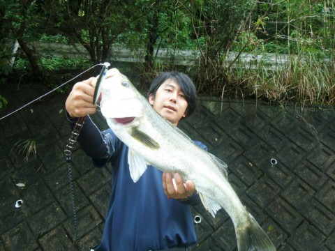 mzdcwjjse5a35v9mf7dp_920_690-06fd4b0c.jpg