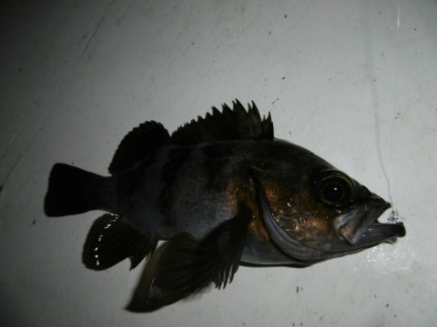 n7axaxcogu63knhdkto5_920_690-02cb51c2.jpg