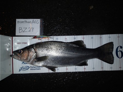 obxbkjtv4ood4xyt87u5_920_690-6564b230.jpg