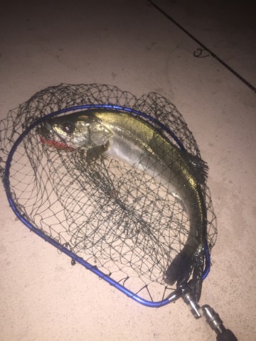 obxcos7g2mrryeaurpur_690_920-9a514834.jpg