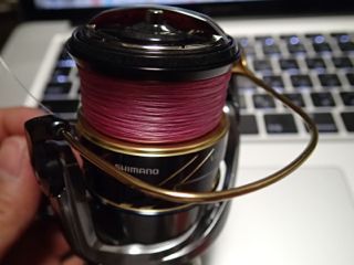oc89ih2z8zj36znt5muy-44ed0d9f.jpg