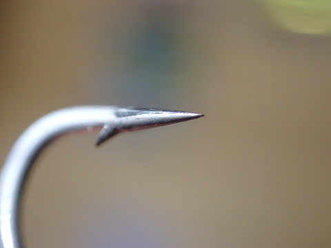 oefpmfwvzybto5np5286-9c07327a.jpg
