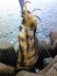 oidfuk4srcxgd9hi6ju2_52_70-52974eac.jpg
