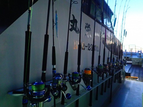 owthf4f28jpxtzifhxn7_480_480-bbec8770.jpg