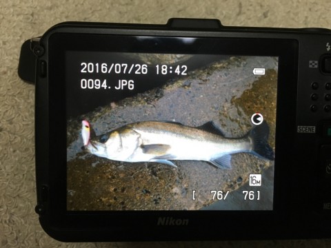 p287dekzuppbt9pr5prf_920_690-54ccf9c5.jpg