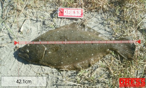p2ou627fiyokwkfrrent_920_554-4194215b.jpg