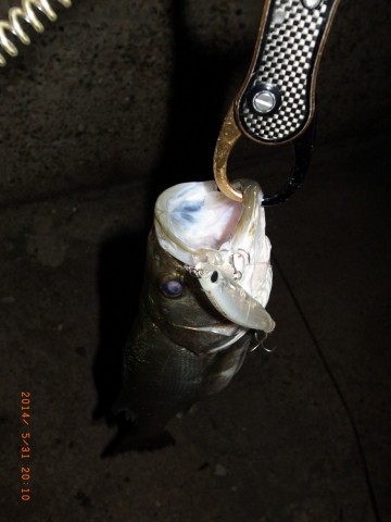 p2yuzatpmwnrt6ocsaku_480_480-ef3c78f7.jpg