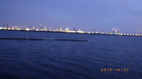 p4gmedkayj82m32i653y_480_480-c894d60e.jpg