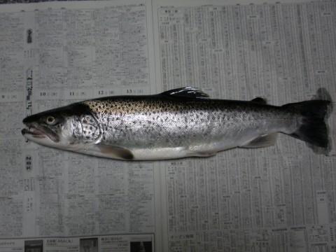 p5exuggjkbv8sy55erwe_920_690-2e37b08c.jpg
