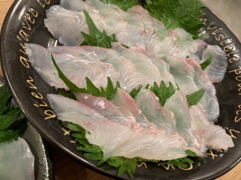 p8skg75g7kue53bzykv3_480_480-f5e35a6f.jpg