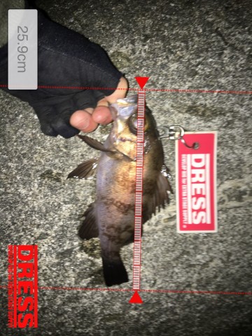 pcze38sj4454x8eh2n3i_480_480-dde8ffb5.jpg