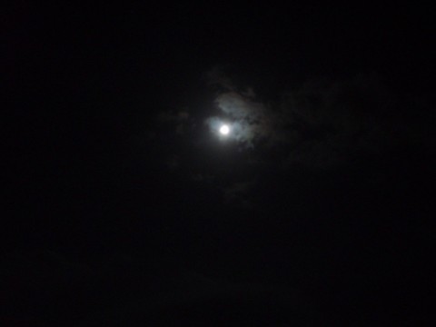 picjujuyfxpiaaoxhfe4_480_480-10e92e87.jpg