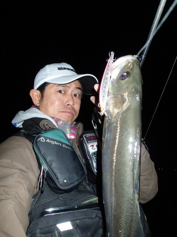 pnx8tz46xxymi82fbe6w_480_480-f3d52810.jpg