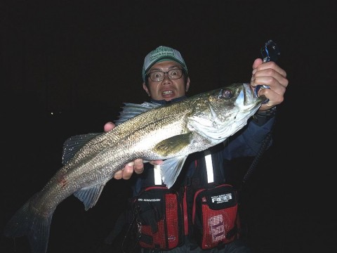 r57t9kk87o9kpxjir2b8_480_480-623d217b.jpg