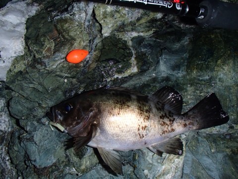 r5ftasomakxzvyagfs27_920_690-0726a38e.jpg