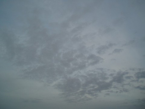 r7ctypkm8tkxzb4h5a2c_480_480-37fa6ab9.jpg