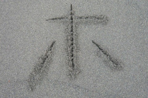 r8kh3p4rhw25jhhhr8p8_480_480-c019e3ff.jpg