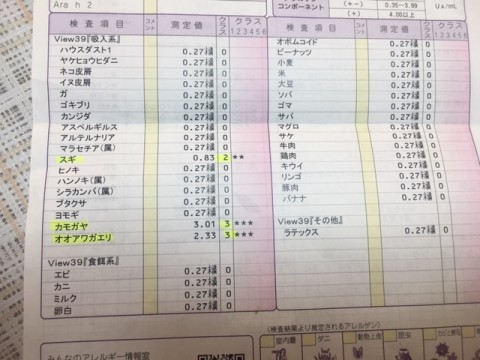 r9sf66ozjcmn7y3iwren_480_480-3ffc0296.jpg
