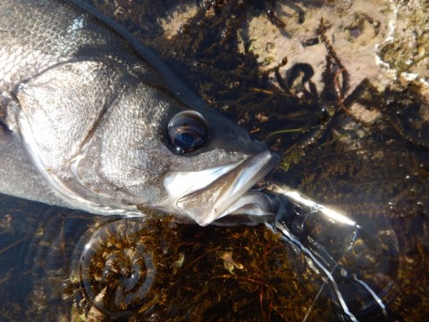 rd6tkrf52ym9xf492a7p_920_690-867289ce.jpg