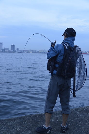 SHIMANO SALTWATER BLOG】 ファイト中に柔らかくできるシーバス SHIMANO SALTWATER BLOG】 ファイト中に柔らかくできるシーバス