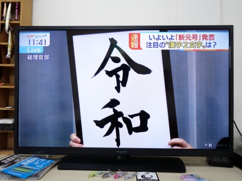 rii8f34xgd2m927akwty_480_480-7946a390.jpg