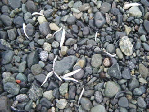 rkkuitmgyiokaodnkbxf_480_480-c232c3b7.jpg