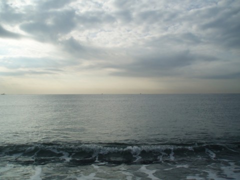 rvezr9b3z4n2nidf4482_480_480-b4636db6.jpg
