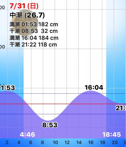 s23f89nzscpjirxjxtt5_789_920-72c79e22.jpg
